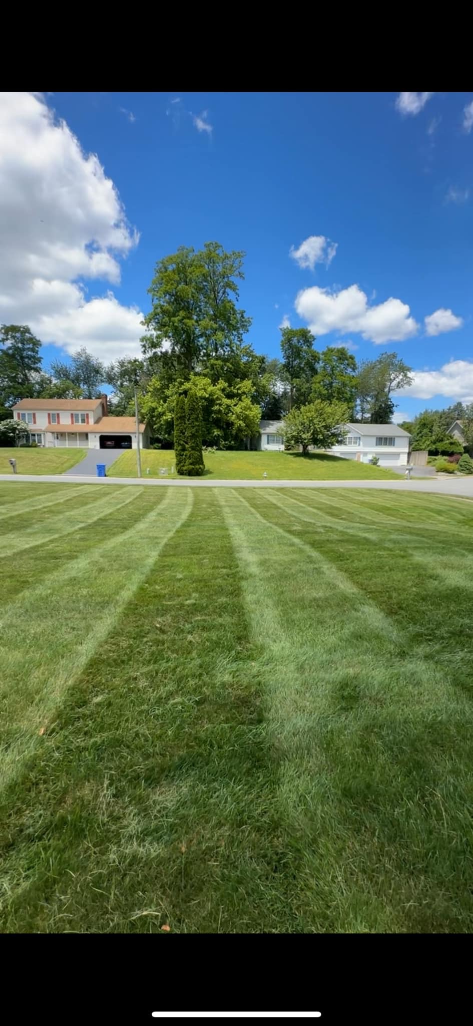 Lawn Care & Maintenance