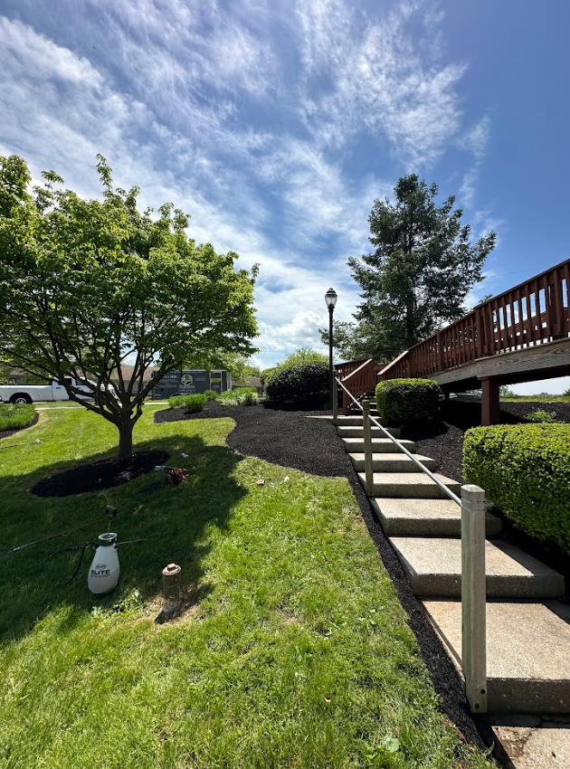 Residential Landscape Design