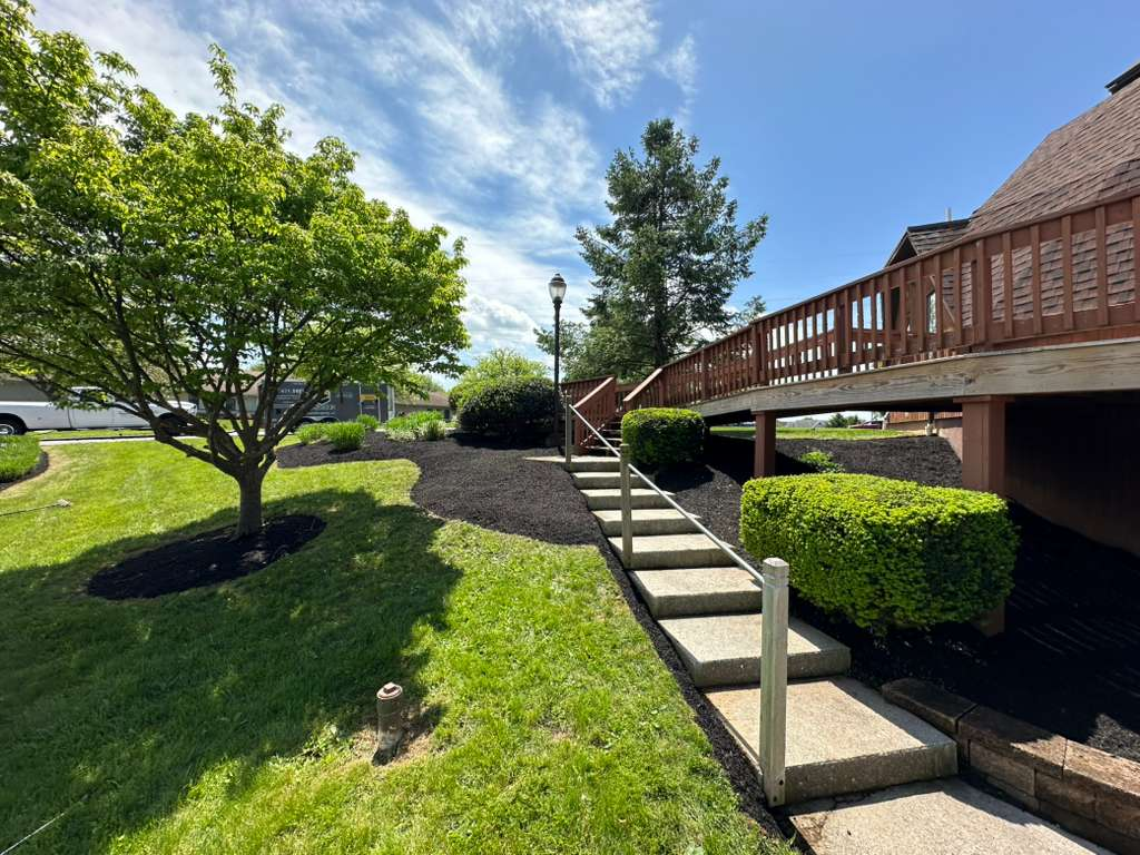 Landscape background