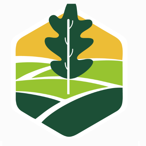 Alejandro Home Services Logo