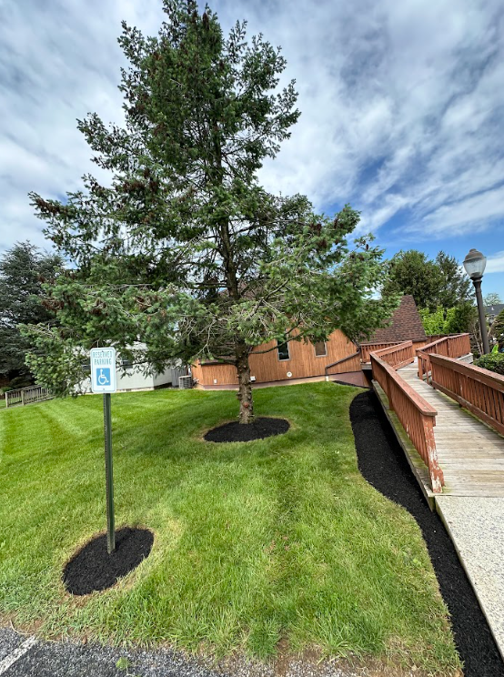 Property Maintenance