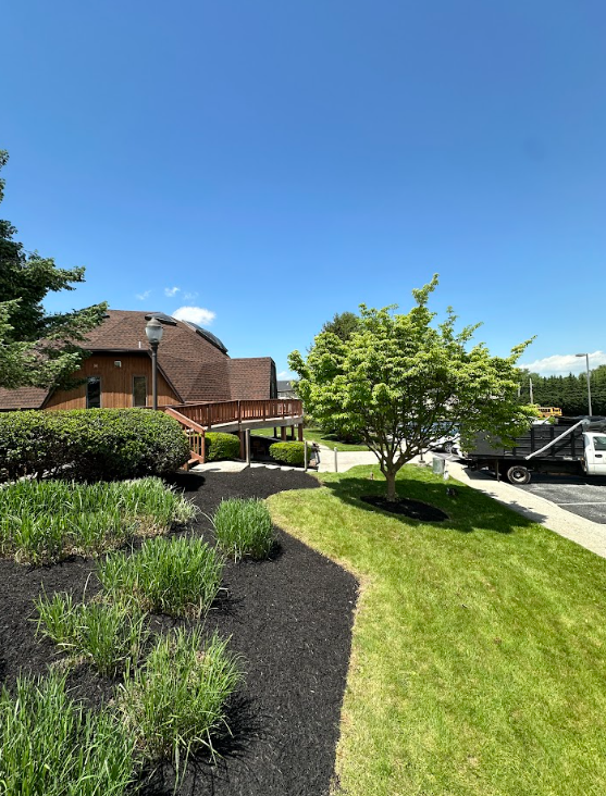 Seasonal Maintenance